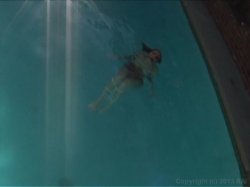 Captura de 'Babes In Bondage 4' nº 79