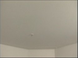 'Black Booty Cam 14' screenshot nº 4