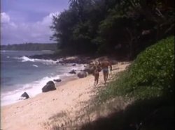 'Girls of Treasure Island' screenshot nº 101