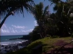 'Girls of Treasure Island' screenshot nº 1