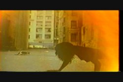 Captura de 'Mr. Peepers Amateur Home Videos Vol. 84' nº 6