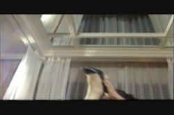 Captura de 'Mr. Peepers Amateur Home Videos Vol. 84' nº 132