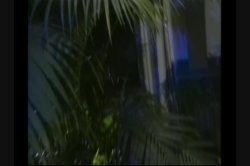 'Nina Hartley's Guide to Swinging' screenshot nº 112