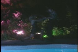Captura de 'Nina Hartley's Guide to Private Dancing' nº 105