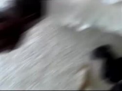 Captura de 'Casting Couch Vol. 1' nº 70