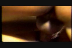 Captura de 'Hollywood Swingers 7' nº 24