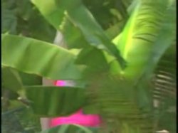 'Busty Conquests of Kayla Kleevage' screenshot nº 51