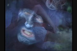 Captura de 'Full Moon Fever' nº 36