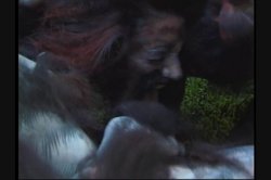 Captura de 'Full Moon Fever' nº 41