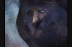 Captura de 'Full Moon Fever' nº 42