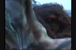 Captura de 'Full Moon Fever' nº 43
