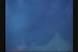 Captura de 'Full Moon Fever' nº 45