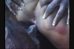 Captura de 'Full Moon Fever' nº 48