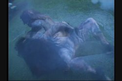 Captura de 'Full Moon Fever' nº 49
