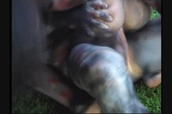 Captura de 'Full Moon Fever' nº 52
