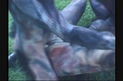 Captura de 'Full Moon Fever' nº 55