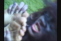 Captura de 'Full Moon Fever' nº 56
