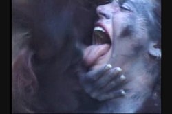 Captura de 'Full Moon Fever' nº 64