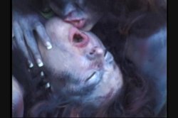 Captura de 'Full Moon Fever' nº 65