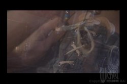 Captura de 'Da Vagina Code' nº 117