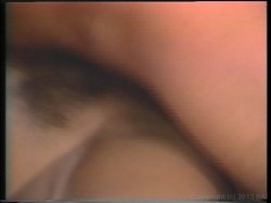 'Swedish Erotica Vol. 113' screenshot nº 52