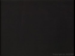 'Swedish Erotica Vol. 113' screenshot nº 21