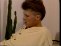 Captura de 'Hollywood She Males' nº 18