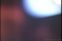 'Itsy Bitsy Bang Bang' screenshot nº 5