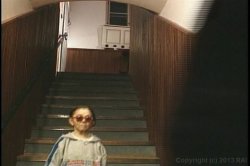 'Itsy Bitsy Bang Bang' screenshot nº 12