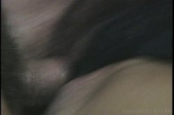 'Itsy Bitsy Bang Bang' screenshot nº 139