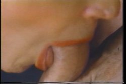 Captura de 'Swedish Erotica Vol. 115' nº 27