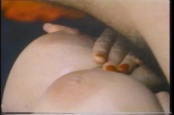 Captura de 'Swedish Erotica Vol. 115' nº 28