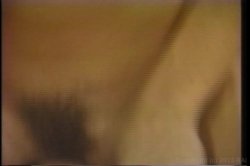 Captura de 'Swedish Erotica Vol. 119' nº 71