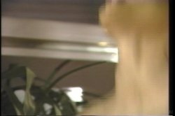 Captura de 'Swedish Erotica Vol. 119' nº 72