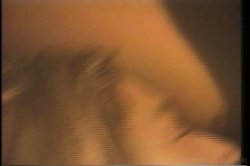 Captura de 'Swedish Erotica Vol. 119' nº 88
