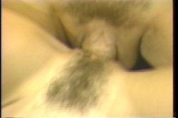 Captura de 'Swedish Erotica Vol. 119' nº 104