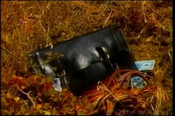 'Babewatch 15' screenshot nº 125