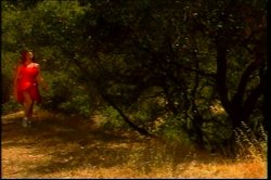 'Babewatch 15' screenshot nº 126