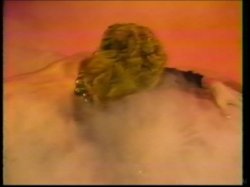 Captura de 'Ginger Lynn Triple Feature' nº 58