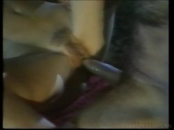 Captura de 'Ginger Lynn Triple Feature' nº 90