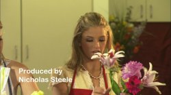 Captura de 'Petals' nº 6