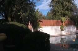 'Top Heavy Tarts 12' screenshot nº 2