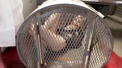 Captura de 'Everything Butt - Anal Asylum: Chloe Cherry And Lexi Lore' nº 13