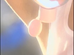 'Young Sluts, Inc. 15' screenshot nº 2
