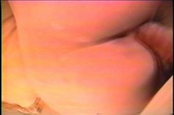 Captura de 'Big Latin Butts of Boobsville' nº 41