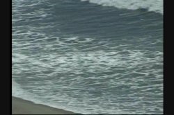 'Beach Bunnies with Big Brown Eyes 2' screenshot nº 2