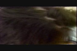 Captura de 'Erotic Adventures of Johnny Soiree' nº 23