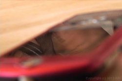 Captura de 'Naughty Niches' nº 6