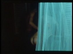 Captura de 'Hot Nights In The Caribbean' nº 126