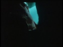 Captura de 'Hot Nights In The Caribbean' nº 135